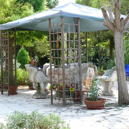 Controguerra Bed&Breakfast Giardino Agritourist المظهر الخارجي الصورة