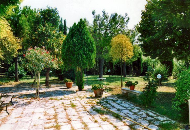 Controguerra Bed&Breakfast Giardino Agritourist المظهر الخارجي الصورة